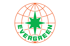 Evergreen